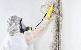 Best HVAC Mold Inspection and Cleaning  in Nichols Hills, OK